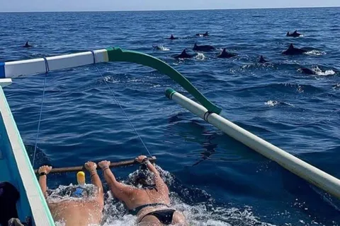 Lovina : Bali : observation des dauphins, baignade et plongée en apnée