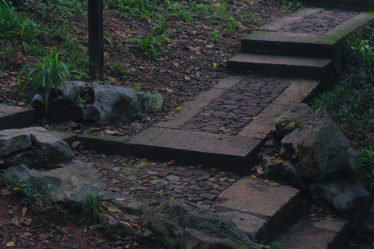 Mini-wycieczka po Hangzhou: tradycyjna medycyna chińska, widoki na wzgórza i targMini-wycieczka po Hangzhou: tradycyjna medycyna chińska, widoki na wzgórza i targowisko