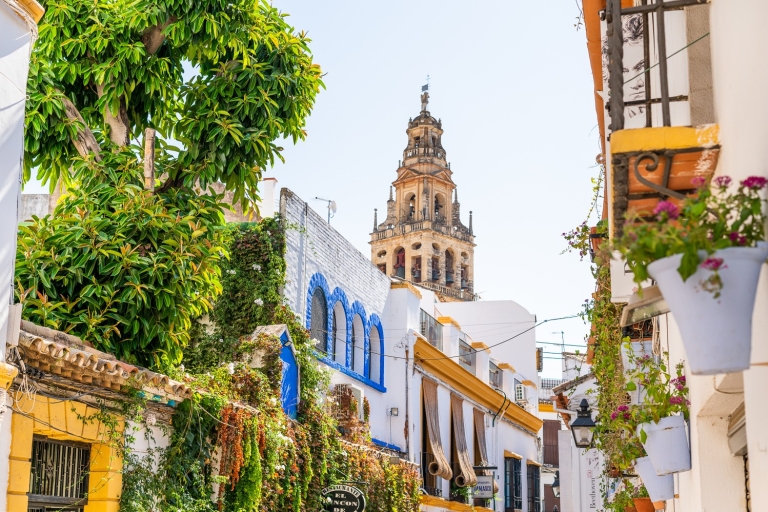 Córdoba: meczet-katedra i wycieczka z przewodnikiem po dzielnicy żydowskiejPrywatna wycieczka po hiszpańsku