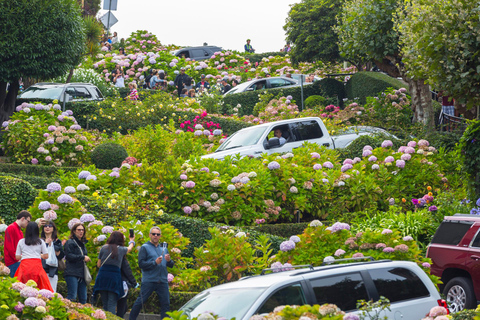 San Francisco City Tour with Bay Cruise Option City Tour with Bay Cruise