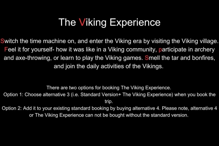 Excursion privée d'une journée à Flam et Stegastein (+ expérience Viking)