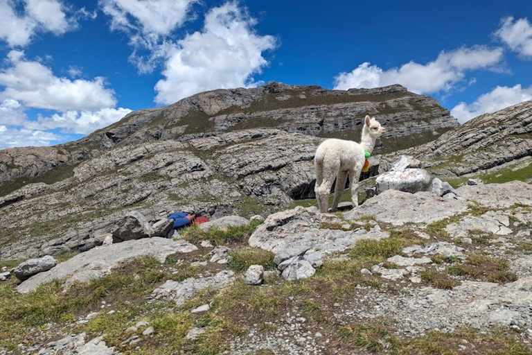 Lima: Traslado+Cordillera la Viuda+Santa Rosa de Quives+Mirador Cochapampa