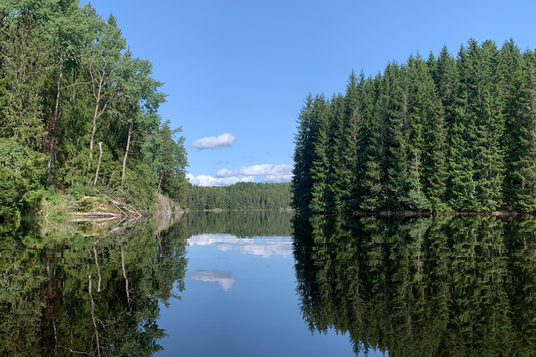 Oslo: Guided Kayak Tour on Lake Langen with Lunch