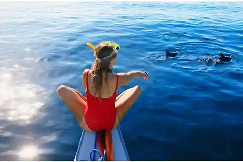 North Coast Dolphins Sunrise Adventure Tour