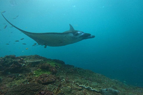 From Bali: Snorkeling at Manta Point Nusa Penida &amp; Land TourSnorkeling and West Land Tour (Meeting Point - Sanur Port)