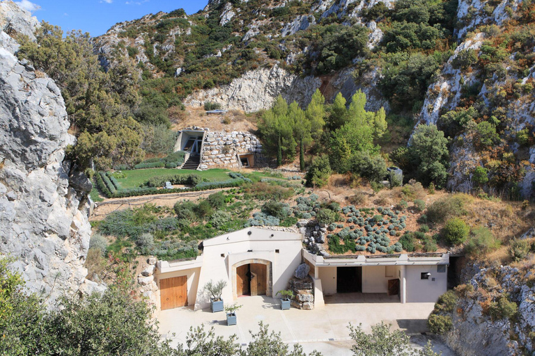 Vignoble des Alpilles à véloExcursion en E-Bike avec dégustation de vins pour une journée entière