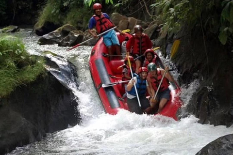 Bali: Telaga Waja River Rafting Adventure Guide Tour & Lunch Sharing Bali: Telaga Waja White River Rafting - No Transfers