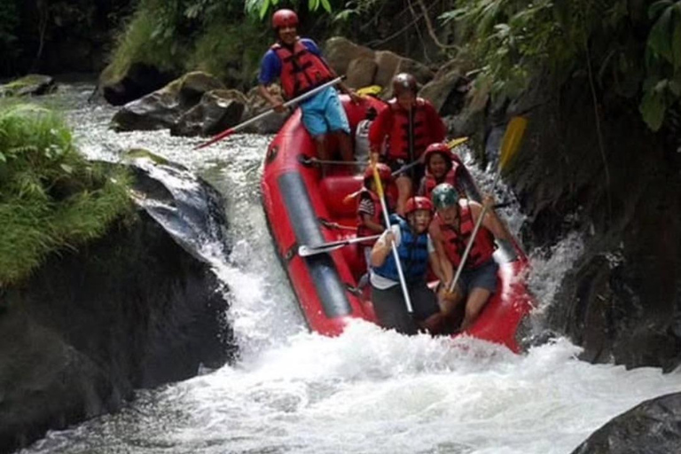 Bali: Telaga Waja River Rafting Adventure Guide Tour & Lunch Sharing Bali: Telaga Waja White River Rafting - No Transfers