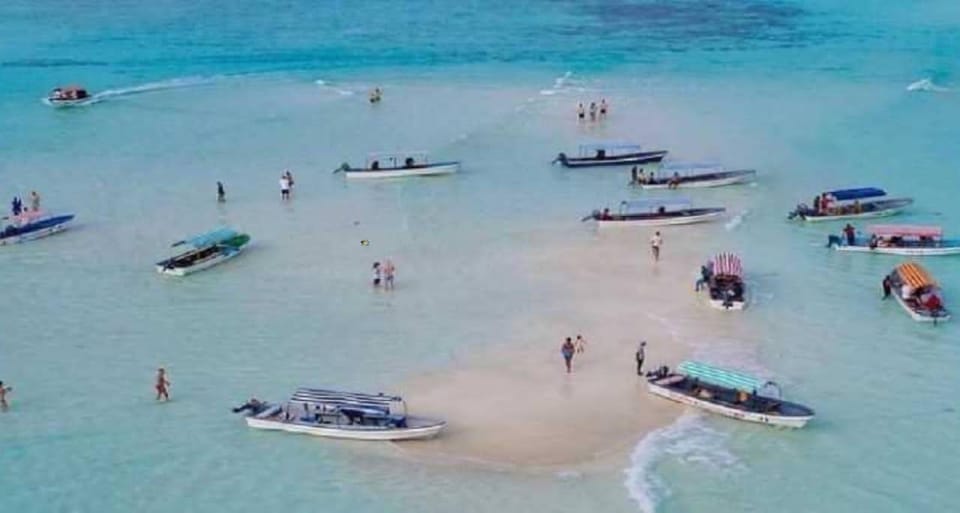 Zanzibar: Mnemba Atoll Snorkeling and Nungwi Village Tour | GetYourGuide