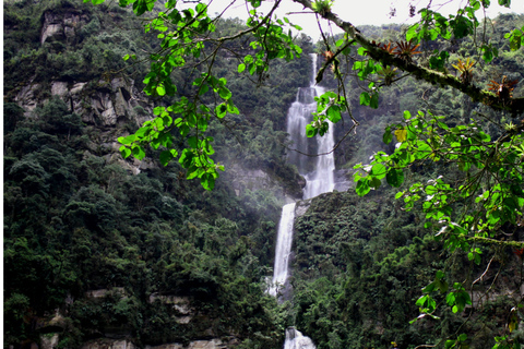 Bogotá: La Chorrera Waterfall Yoga and Forest Bathing
