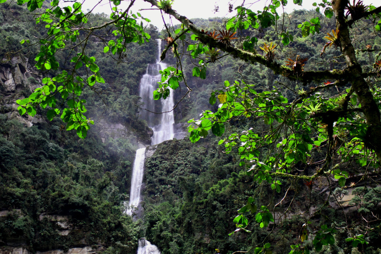 Bogotá: La Chorrera Waterfall Yoga and Forest Bathing