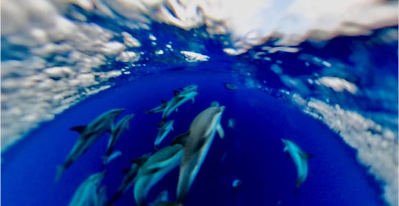 Isola Bella-Blue Grotto: Boat Tour, Snorkeling & Aperitif