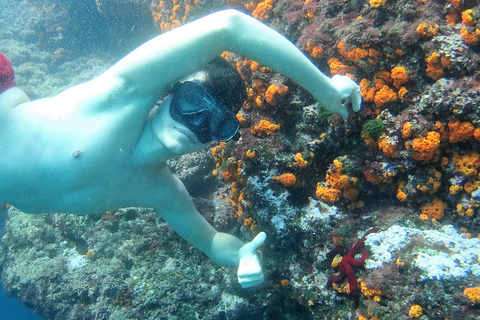 La Herradura : excursion en kayak et plongée en apnée dans le parc naturel de Cerro Gordo