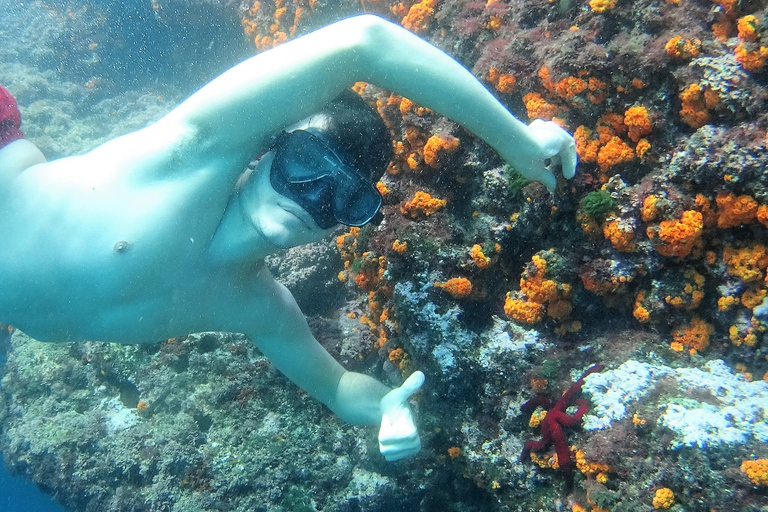 La Herradura: kajak- en snorkeltour door natuurpark Cerro Gordo