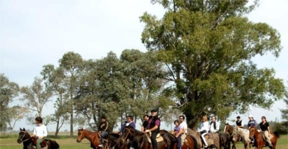 Don Silvano Ranch: Day Trip, BBQ & Gaucho Show