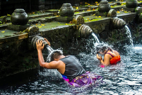 Ubud privato: Cascate, tempio dell&#039;acqua, terrazza di risoTour di un giorno (10-12 ore di tour), escluse le tariffe dei biglietti d&#039;ingresso