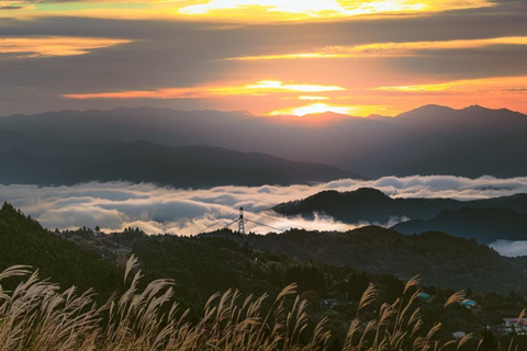 Wakayama: Hidden Coastal Nature & Sunset Tour From Osaka