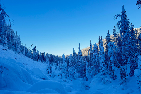 Rovaniemi: Korouoma Frozen Waterfall Hike with BBQ