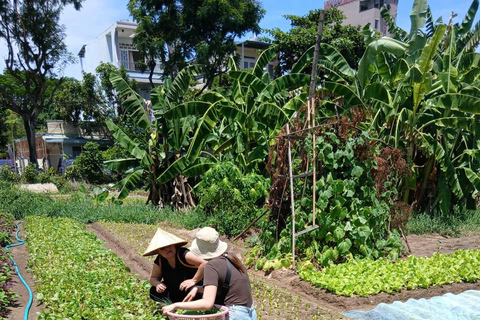 Da Nang: Vietnamese Cooking Class & Local Garden Tour