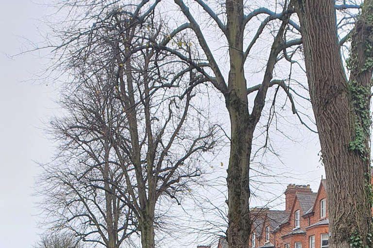 A Unique Belfast City Center Walking Tour