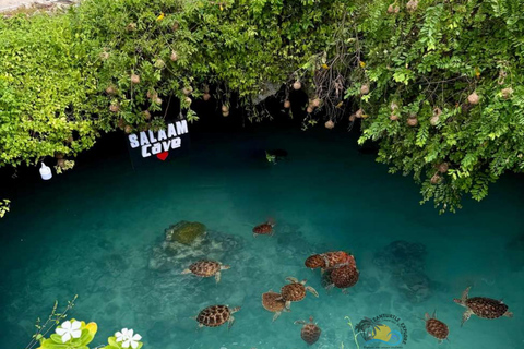 Zanzibar: Jozani Forest & Salaam Cave Sea Turtles Swim Tour Option Without Hotel Transfers