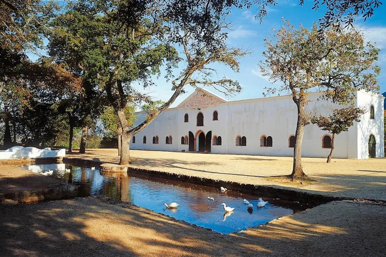 Cape Town: the Mountain, the Garden and the Vineyard