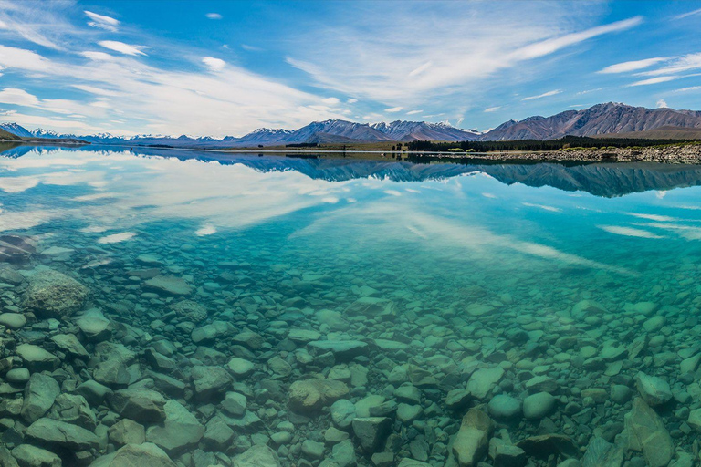 Christchurch : Aoraki/Mt Cook Day Trip with Trotts Garden
