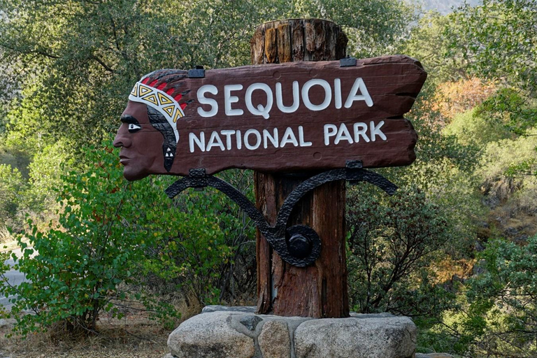 Sequoia National Park & Crystal Cave Tour from San Francisco