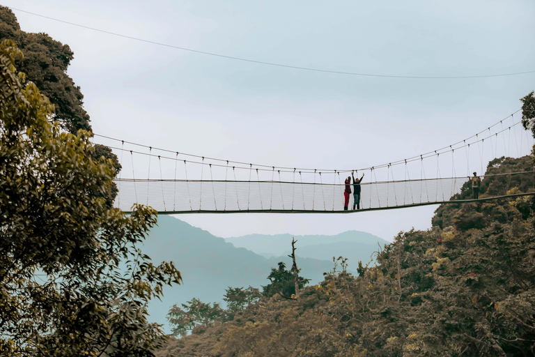 1 Day Nyungwe canopy walkway tour