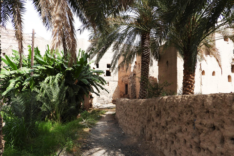 Excursion d'une journée à Birkat Almouz&Nizwa souq&Fort&Falaj Daris.(QUOTIDIEN) excursion d'une journée à Nizwa souq&Castel, Falaj Daris