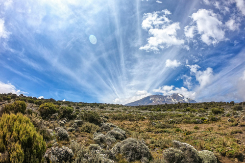 7 days Kilimanjaro Climbing Lemosho route package