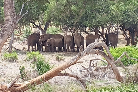 Mombasa: 4-Day Tsavo East, Tsavo West, & Amboseli Safari