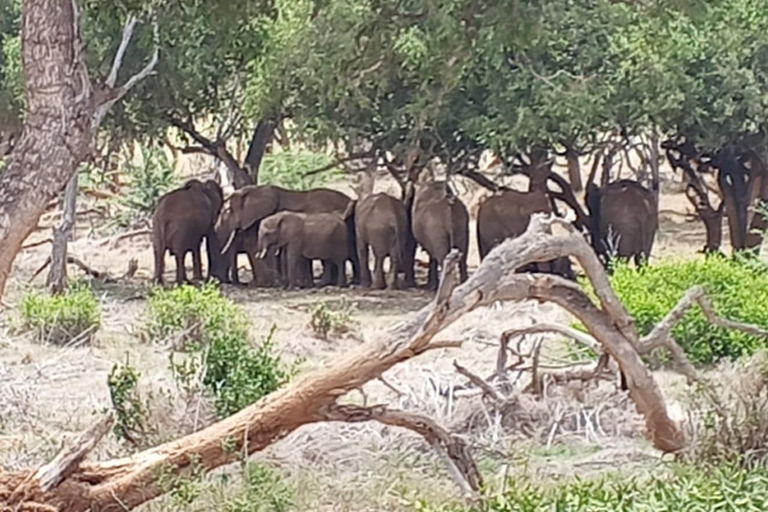 Mombasa: 4-Day Tsavo East, Tsavo West, & Amboseli Safari