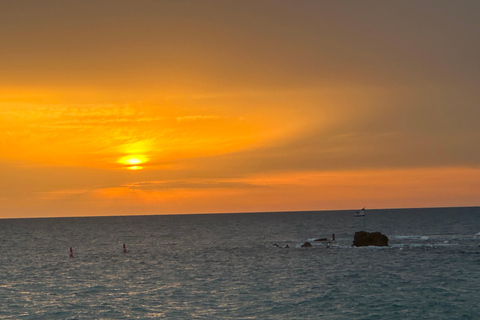 Key Largo: Florida Keys Sunset Cruise with Wildlife Spotting