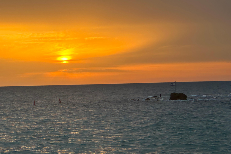 Key Largo: Florida Keys Sunset Cruise with Wildlife Spotting