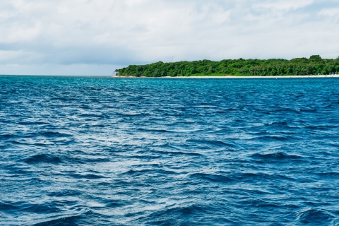 Cairns: visite de l'île verte et de la grande barrière de corailCroisière Barrière de corail et  2 plongées d'initiation