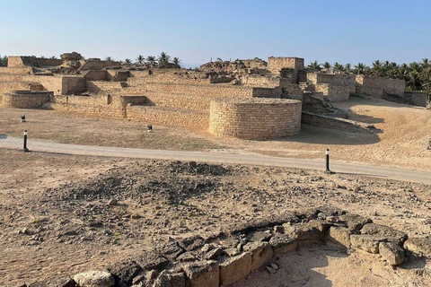 Sur: Dhow Yard, Bilad Sur Castle, & Turtle Reserve Tour