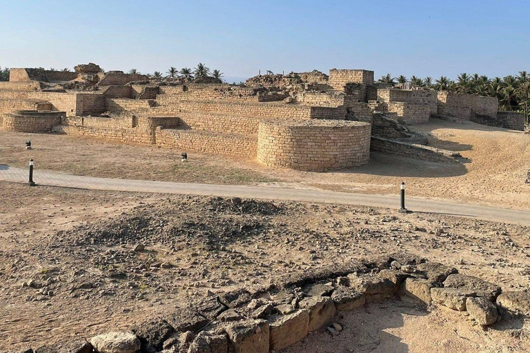 Sur: Dhow Yard, Bilad Sur Castle, & Turtle Reserve Tour