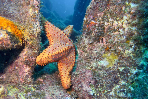 Santa Maria: Guided Wreck and Reef Snorkeling Tour