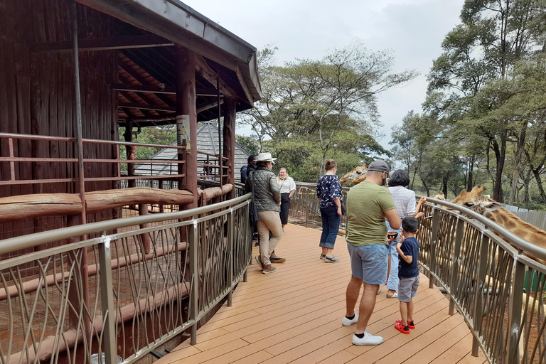 Nairobi: Parco nazionale, orfanotrofio degli elefanti e tour delle giraffe