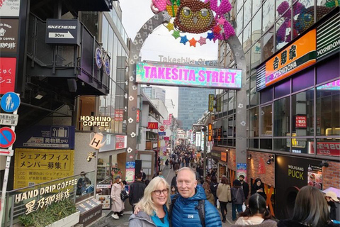 From Narita:Tokyo Layover Tour with Licensed Guide&Vehicle Mini van (UP to 4 PAX)