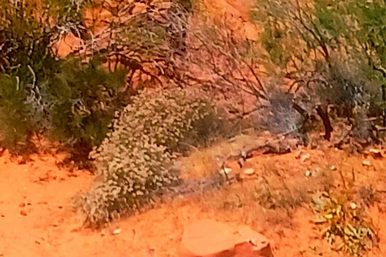 Desde Las Vegas Valle del Fuego Visita guiada de un día completo con almuerzoDesde Las Vegas: Valle del Fuego Visita guiada de un día completo con almuerzo