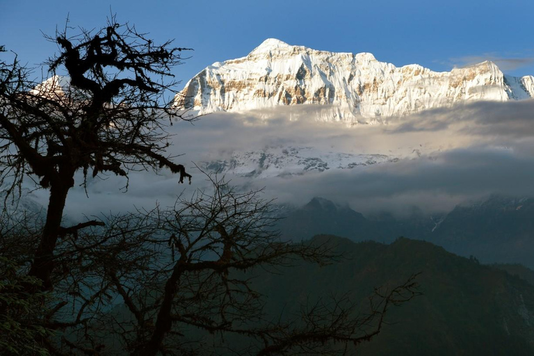 Dhaulagiri Circuit Trek (15 days)