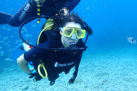 Alanya: PADI Discover Dive & Certified Training Options First Time Diving Option