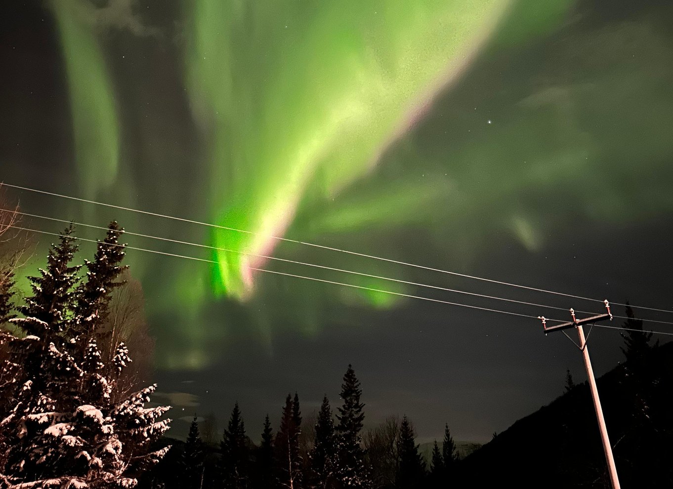 Harstad/Narvik/Tjeldsund: Nordlys-sightseeing i bil