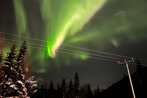 Harstad/Narvik/Tjeldsund: Northern Lights Sightseeing by Car