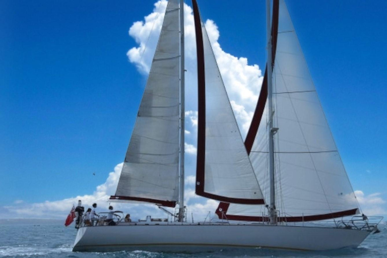 Pisa: Coastal boat tour with aperitif and lunch on board