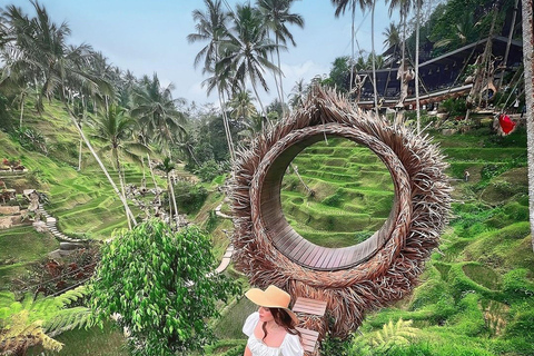 Ubud : Visite privée des cascades cachées et des rizières en terrassesVisite privée sans billet d&#039;entrée