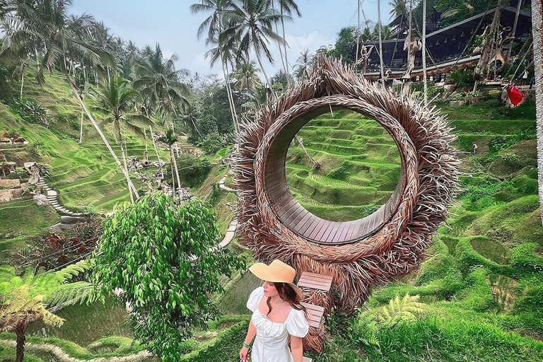 Ubud : Visite privée des cascades cachées et des rizières en terrassesVisite privée sans billet d&#039;entrée