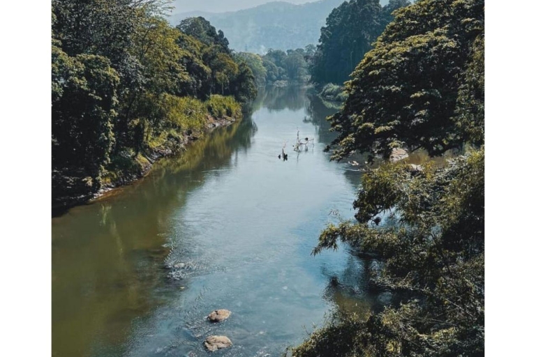Maravillas de Pinnawala y encantos de Kandy: Una expedición en Tuk Tuk